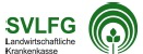 logo_svlfg.png